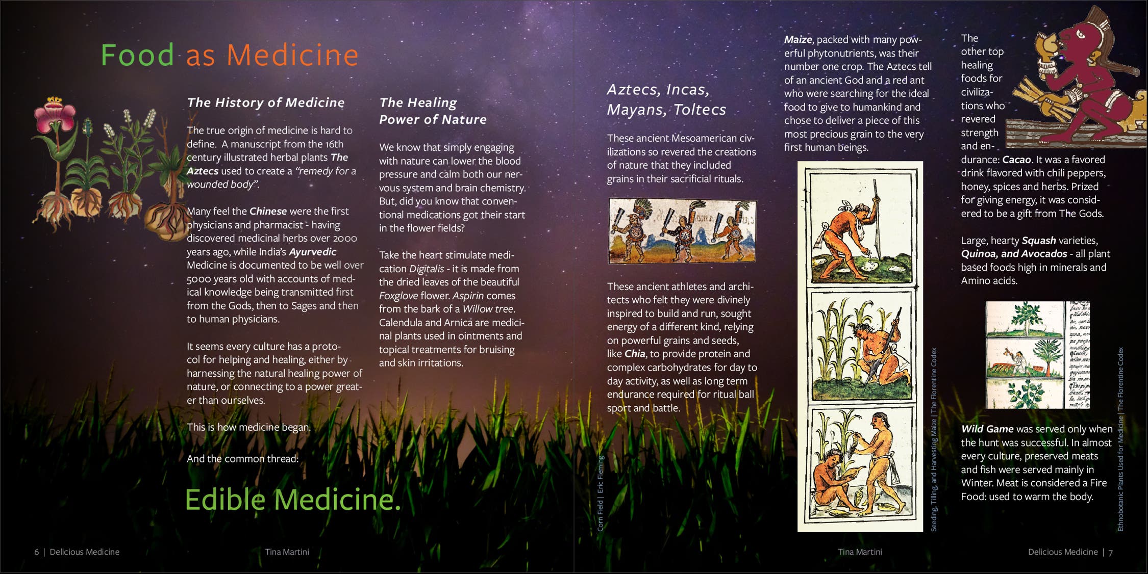 Food as Medicine Book Page