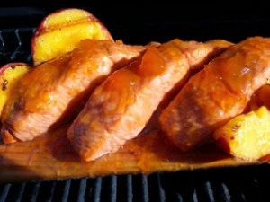 Salmon